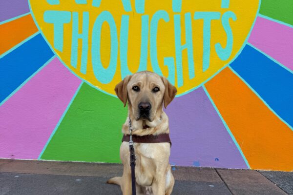 Dexter sits in harness while looking directly into the camera. In the background is a colorful mural that says "Think happy thoughts".