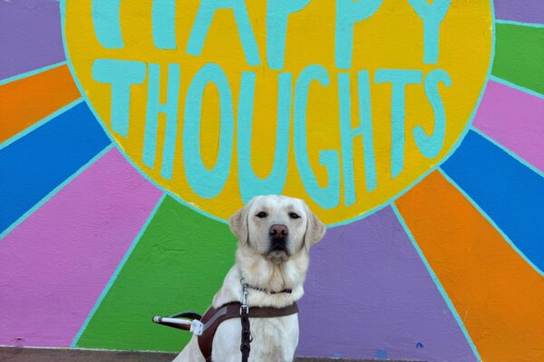 Val sits in harness while staring into the camera. Behind her is a brightly colored mural which says "Think happy thoughts".