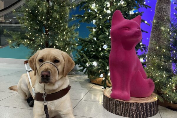 Zaida, a female yellow lab, is laying in front of a holiday display with lighted trees and festive mushrooms. A pink fox statue is sat next to her. Zaida is wearing her tan head collar, leather guide harness and black hind booties.