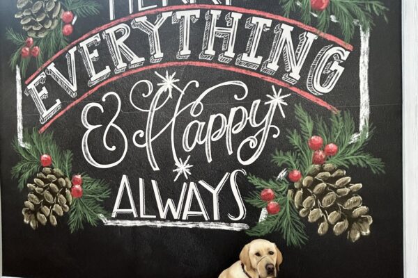 Verve sits in harness in front of a large mural that reads "Merry Everything and Happy Always". The mural includes evergreen branches, holly berries and pinecones. Verve is facing the camera, wearing his rear boots and a tan gentle leader.