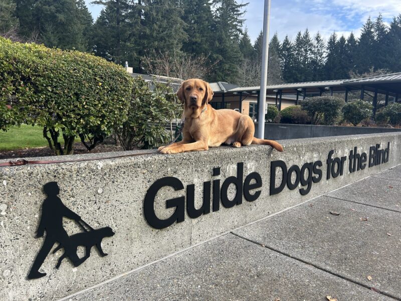 <p>Buchanan poses atop a low wall bearing the GDB logo at the entrance to the Oregon campus. Behind him is the breezeway to the building surrounded by lush green shrubs and trees.</p>
