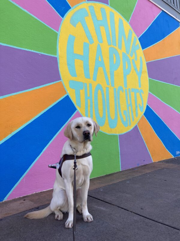 Vinny sits in harness in front a colorful mural with the words