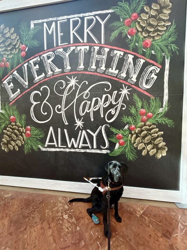 Norris sits in harness in front of a large mural that reads