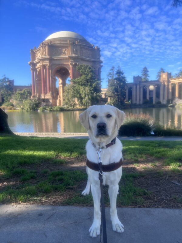 Elle poses in her harness in front of the Palace of Fine Arts.