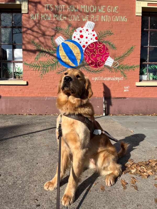 Charmaine sits in harness in front of a large brick wall featuring seasonal graffiti that features decorated ornaments as well as a quote that says: