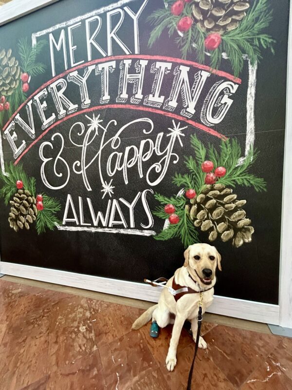 Danson sits in harness in front of a large mural that reads