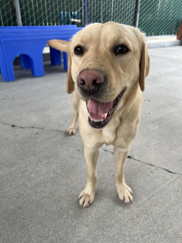 Sky is standing in the community run area. She is looking into the camera and appears to be smiling.