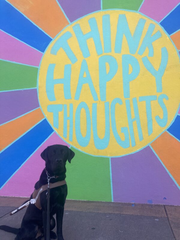 Lonny sits in harness in front of a colorful mural. The words 'Think Happy Thoughts' are written within a yellow circle with vibrant colors extending around the circle.