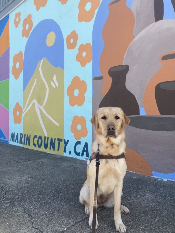 Anya sits in harness in front of a colorful mural of mountains, flowers, and pottery that says Marin County, CA at the bottom.