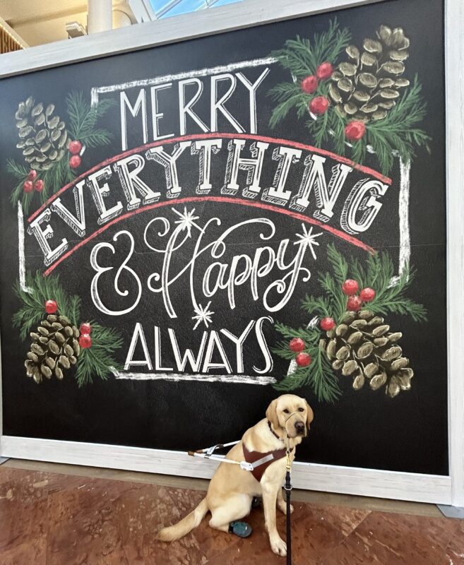 Verve sits in harness in front of a large mural that reads
