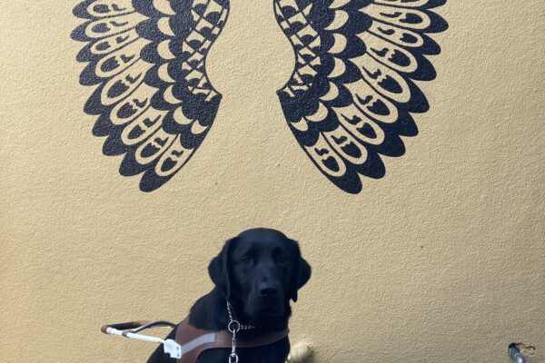 Rinda sits in harness in front of a yellow wall with a mural of black wings.