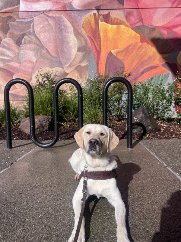 Elle lays down as she poses in front of a floral mural. Her head is slightly tilted.