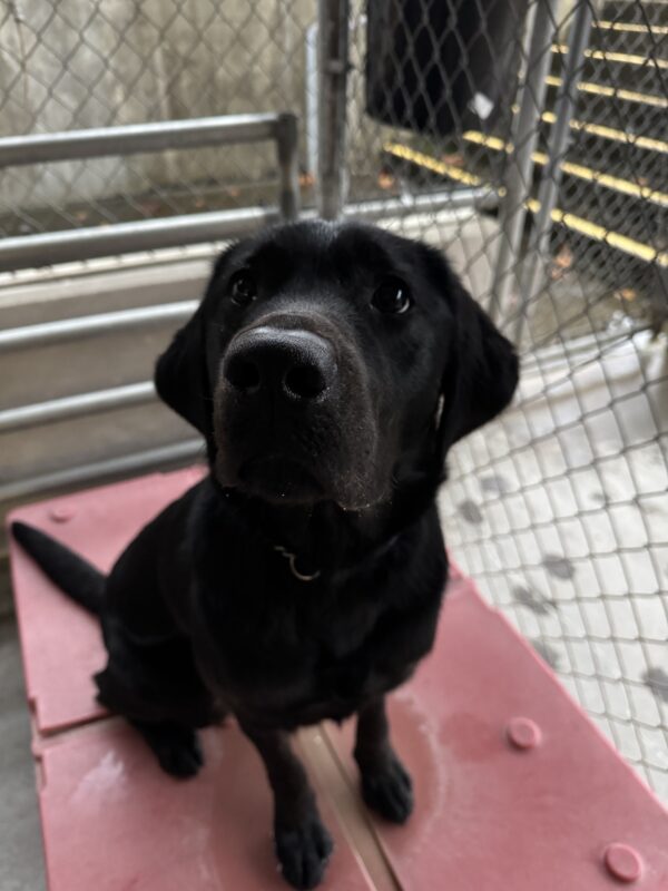 Arav sits on a red piece of play equipment looking up at the camera