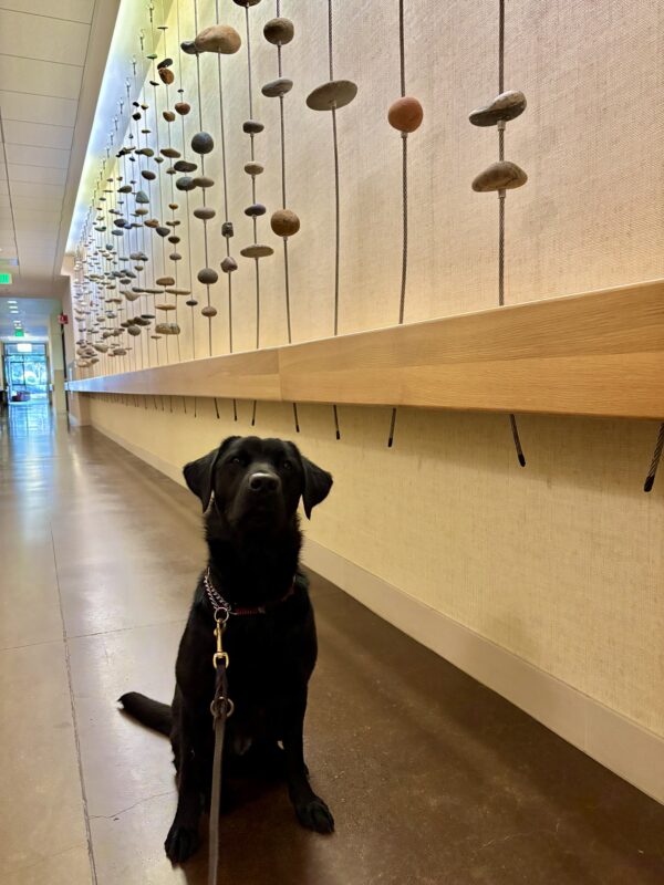 Hallmark sits in the hallway of the California residence hall, containing brown concrete floors and a white tiled ceiling. Behind her is a display of river rocks suspended on wire that spell out a quote from Helen Keller in Braille.