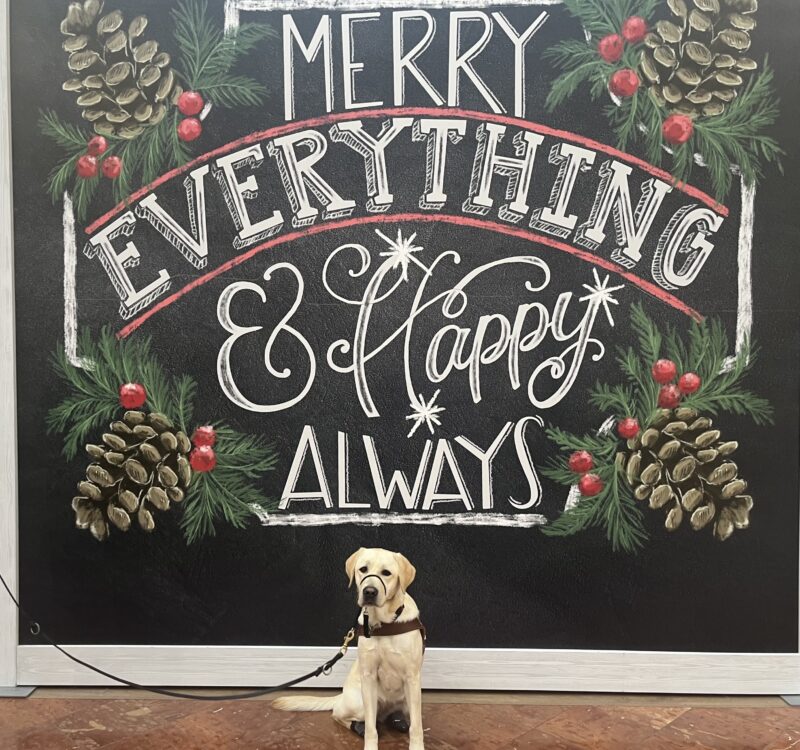 Valla is sitting in front of a sign that says