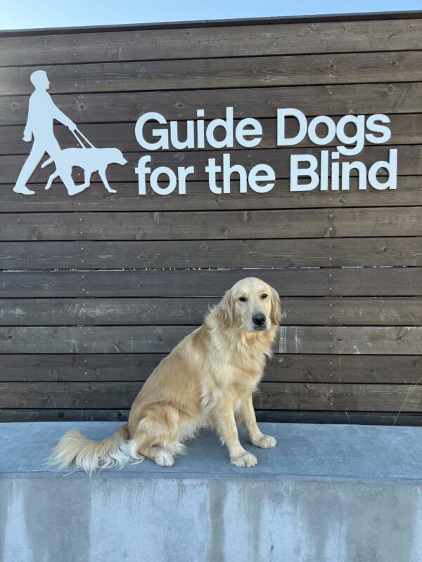 <p>Ivy poses in front of the wooden GDB logo sign on the CA campus.</p>