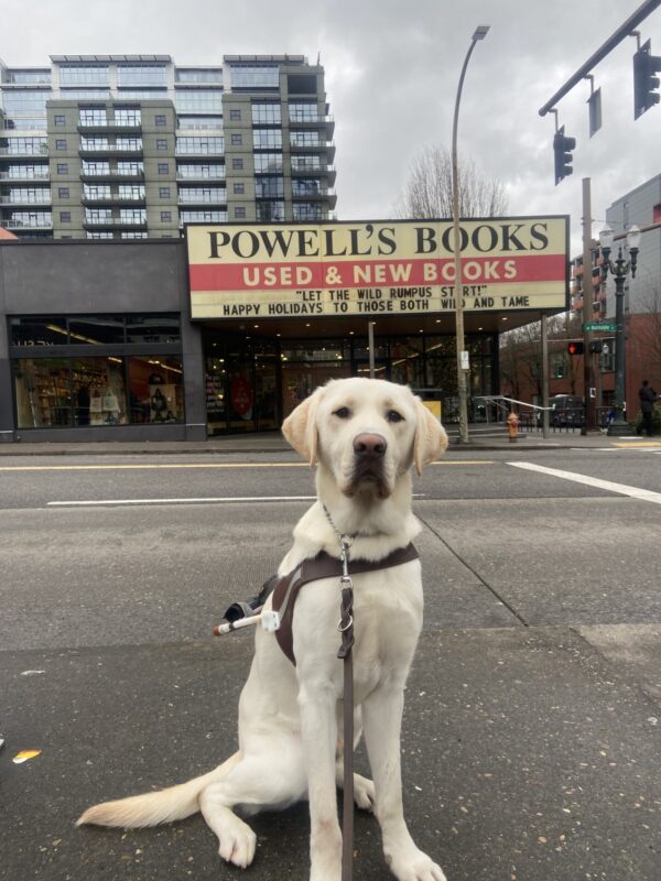 Powell sits on the sidewalk in his guide dog harness in Portland. Behind him is a city scape and a large sign that reads 