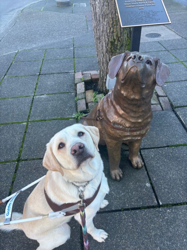 A yellow Labrador Retriever sits on the sidewalk, wearing a harness and gazing up at the camera. Behind her, a bronze statue of