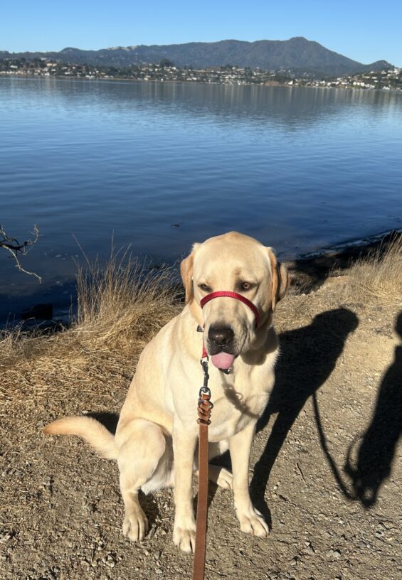 Matt sits on a lakeshore and he is glancing to the left of the frame while sticking his tongue out.