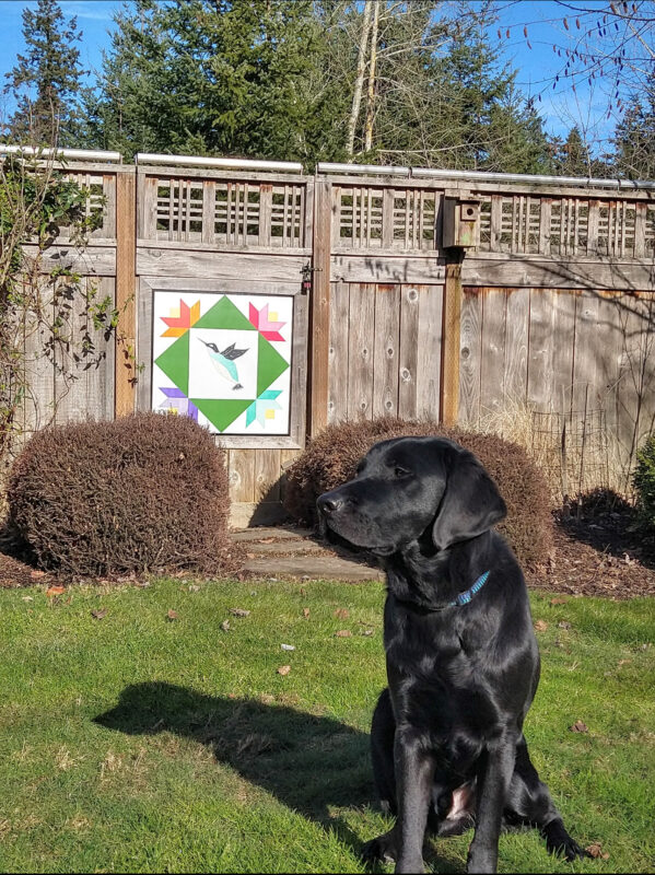 Travis sits in the grass on a sunny day. He is looking to the side.