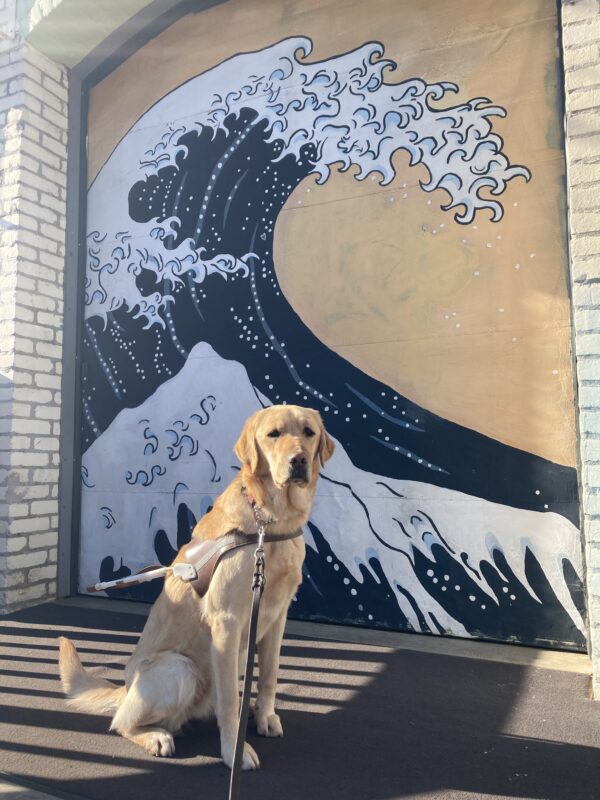 Anya sits in harness in front of a mural of ‘the wave’