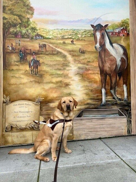 Arrow sits in front of a painted mural, wearing his harness. The mural depicts a farm with horses and a red barn.