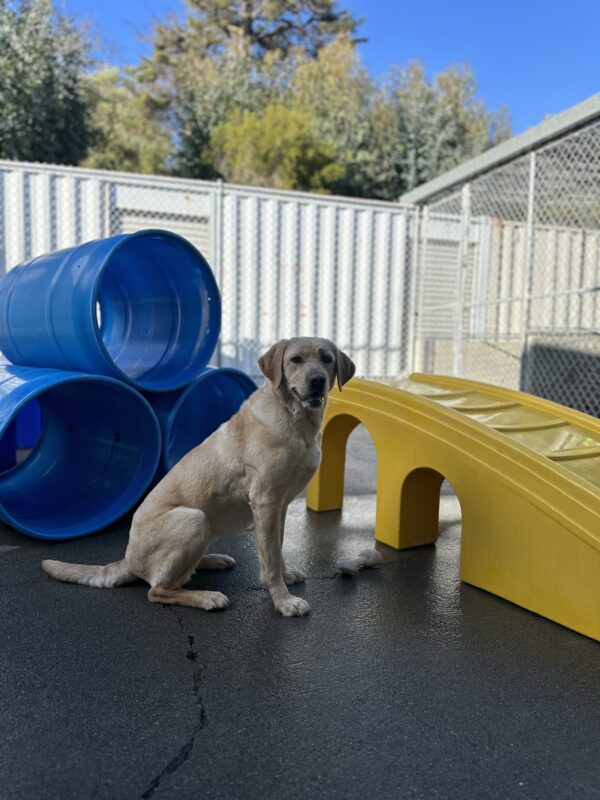 Kumi is sitting in front of a blue and a yellow play structure.