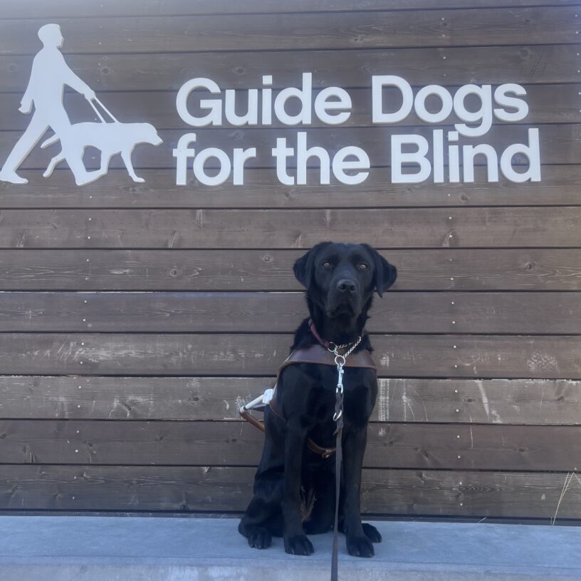 Flume is wearing her harness and is sitting in front of a large wooden sign with white lettering that says
