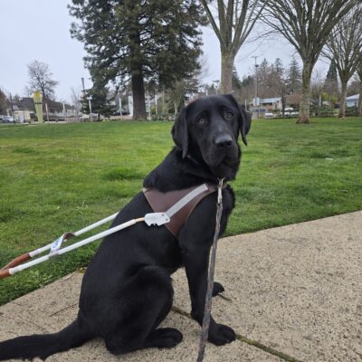 Nura is in a park in Gresham. She’s sitting on a paved path with some trees in the background.