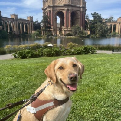 Julissa is sitting and smiling at the camera while wearing her harness. In the background is pictured the Palace of Fine Arts in San Francisco.