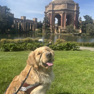 Meyer is sitting and smiling at the camera while wearing his harness. In the background is pictured the Palace of Fine Arts in San Francisco.