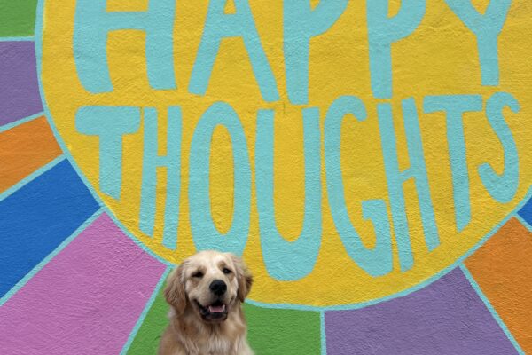Camden is wearing a guide dog harness and sitting in front of a large wall mural, smiling at the camera. The mural is a large, yellow sun with the words "Think Happy Thoughts" painted on it in teal. The sun has green, purple, orange, blue, and pink rays extending from it.