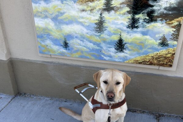 Finnegan is wearing a guide dog harness and is sitting in front of a large painting. The painting depicts several hills with redwood trees and heavy fog.