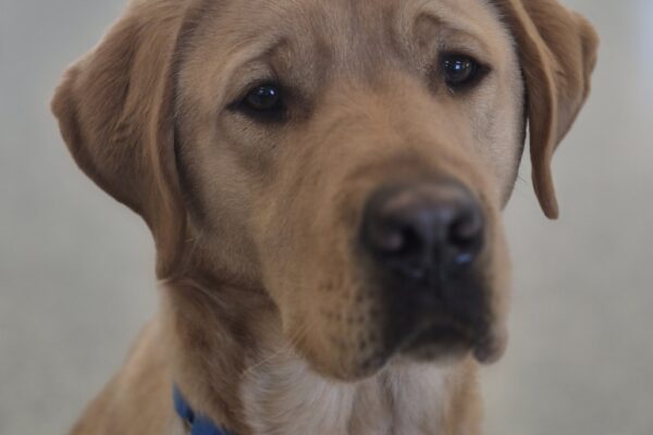 Up close photo of Jacob's face
