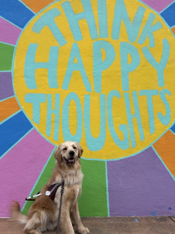 Camden is wearing a guide dog harness and sitting in front of a large wall mural, smiling at the camera. The mural is a large, yellow sun with the words 