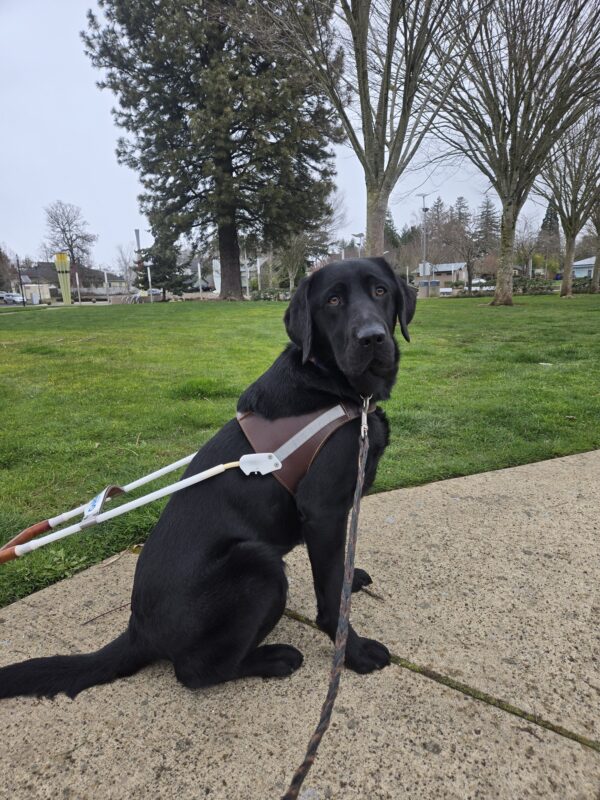 <p>Nura is in a park in Gresham. She’s sitting on a paved path with some trees in the background.</p>