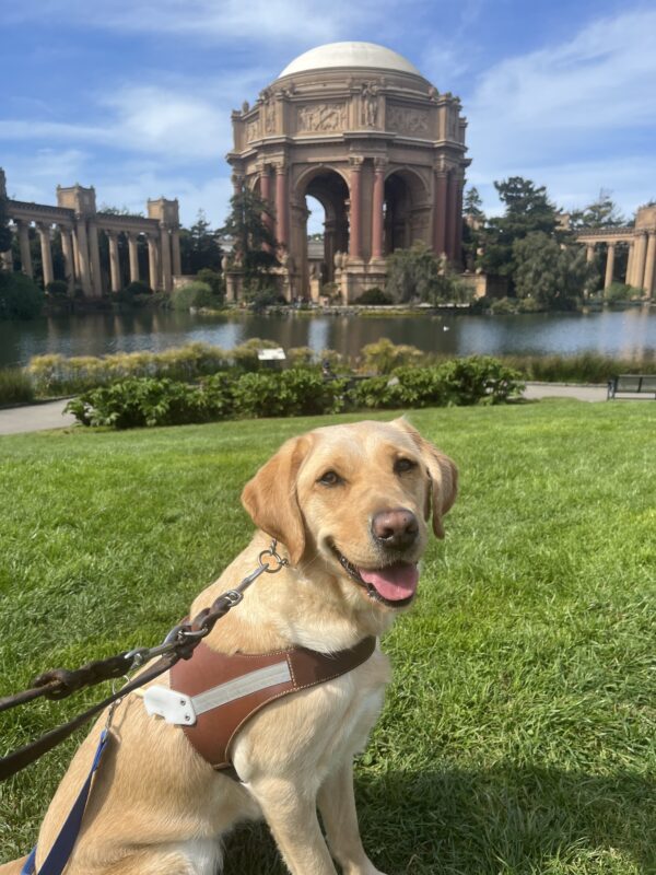 <p>Julissa is sitting and smiling at the camera while wearing her harness. In the background is pictured the Palace of Fine Arts in San Francisco.</p>