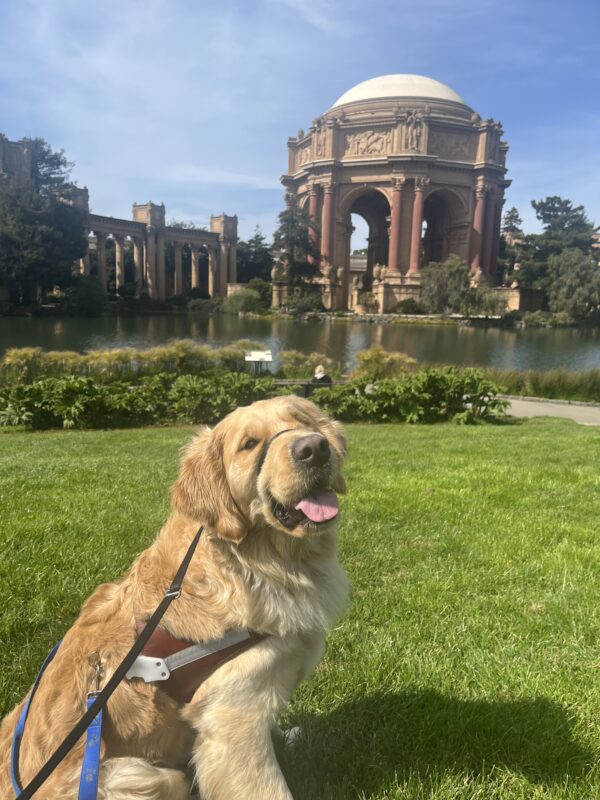 <p>Meyer is sitting and smiling at the camera while wearing his harness. In the background is pictured the Palace of Fine Arts in San Francisco.</p>