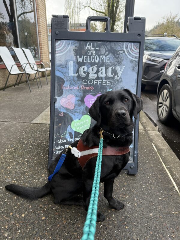 <p>Tabouli (a black labrador retriever) sits in front of a sandwich board that reads