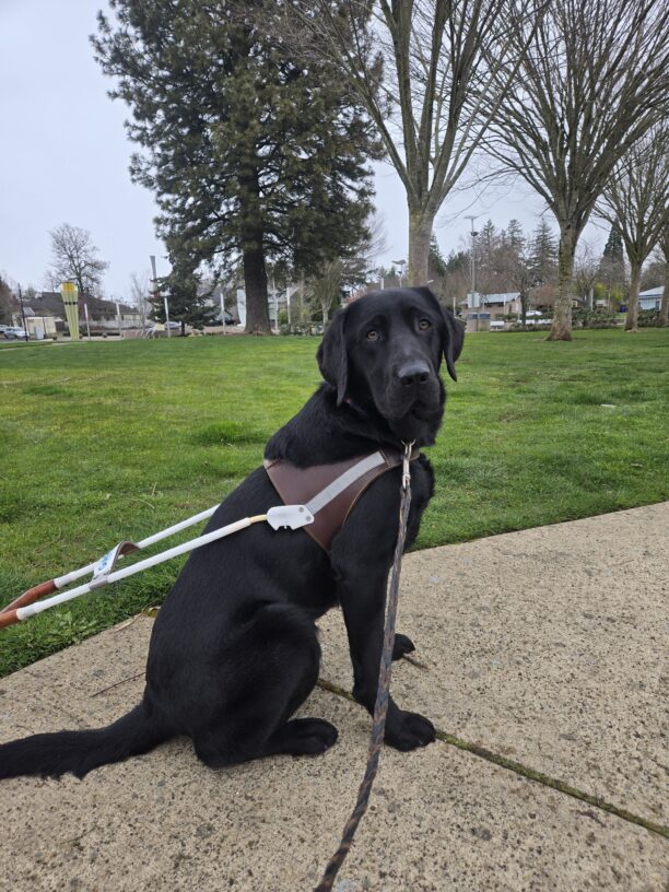 Nura is in a park in Gresham. She’s sitting on a paved path with some trees in the background.