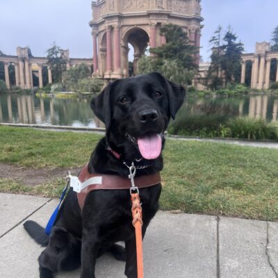 Kahlo poses in front of San Francisco’s Palace of Fine Arts. She wears a smile on her face as she proudly wears her harness.