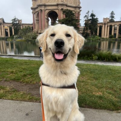 Nick poses in front of San Francisco’s Palace of Fine Arts. He wears a smile on her face as he proudly wears his harness.