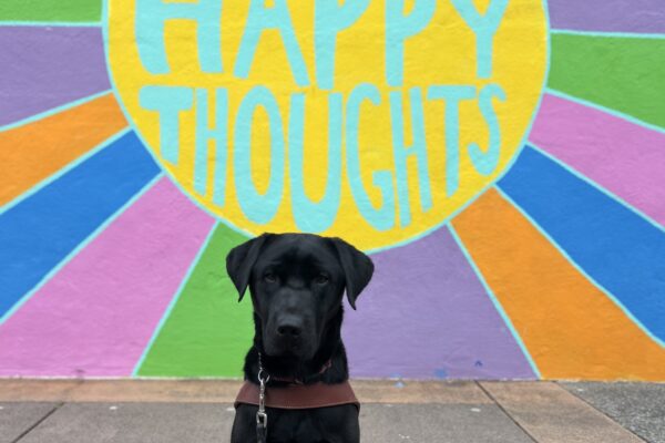 Hayes sits in harness looking at the camera. Behind him is a bright colored mural with the words "Think Happy Thoughts."