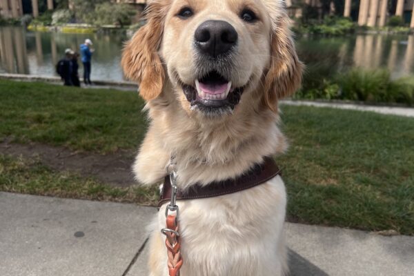Morgan poses in front of San Francisco’s Palace of Fine Arts. She wears a smile on her face as she proudly wears her harness.
