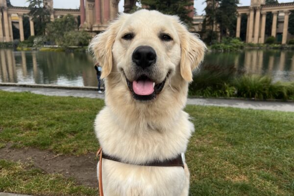 Nick poses in front of San Francisco’s Palace of Fine Arts. He wears a smile on her face as he proudly wears his harness.