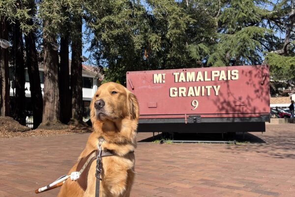 Danika is pictured in harness, sitting in front of a group of large redwood trees and an older stationary trolly car with the words "Mt. Tamalpais Gravity 9" on the front.