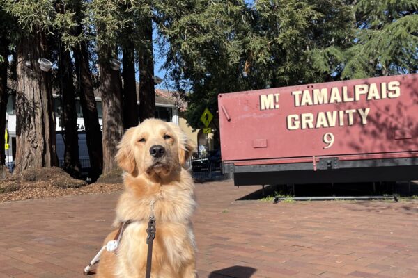 Camden is pictured in harness, sitting in front of a group of large redwood trees and an older stationary trolly car with the words "Mt. Tamalpais Gravity 9" on the front.
