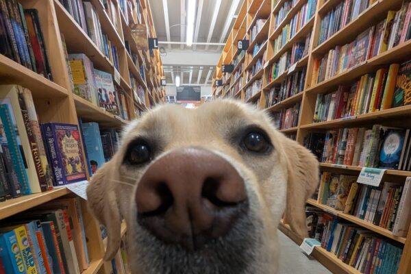 A close-up of Fiddler in Powell's Books. He is in an aisle lined with bookshelves and books as far as the eye can see.
