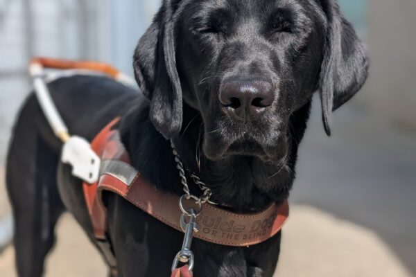 Rocio stands on harness in the California campus. The sun is shining down on her face, so she is squinting her eyes.