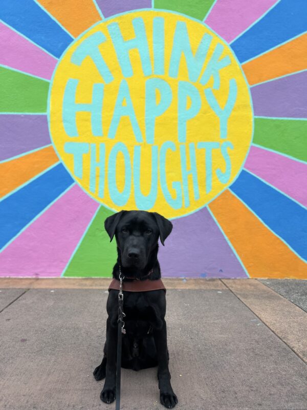 Hayes sits in harness looking at the camera. Behind him is a bright colored mural with the words 